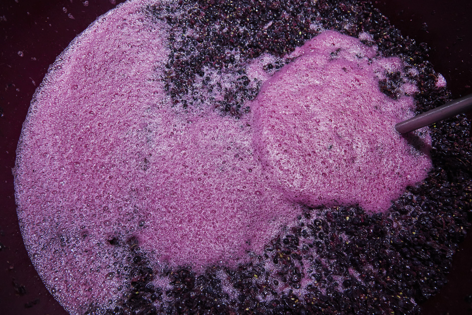 Fotografia przedstawiająca proces tworzenia cydru lub wina
